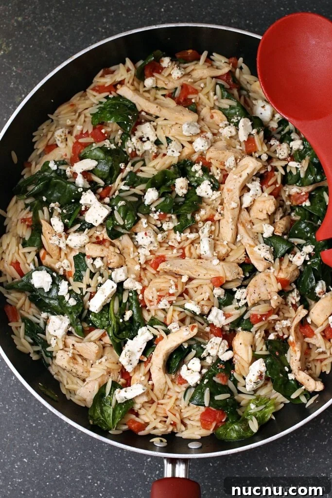 16 Flavorful Orzo Recipes You’ll Want to Cook Tonight 14 chicken-spinach-orzo-skillet1