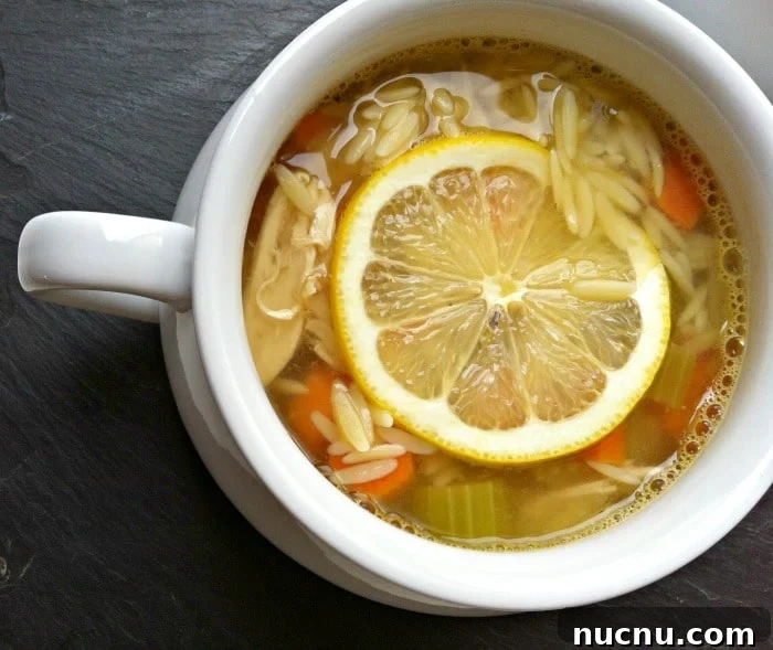 16 Flavorful Orzo Recipes You’ll Want to Cook Tonight 18 Lemon-Chicken-Orzo-soup-8