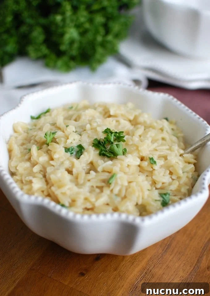 16 Flavorful Orzo Recipes You’ll Want to Cook Tonight 3 4 Ingredient Cheesy Orzo - yum