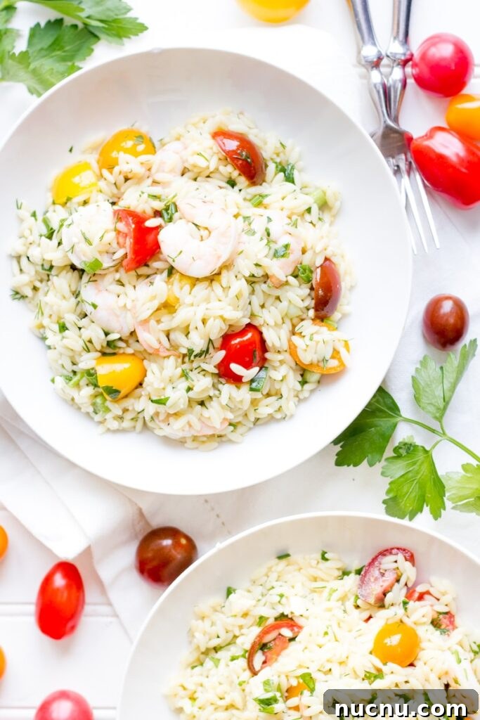 16 Flavorful Orzo Recipes You’ll Want to Cook Tonight 4 IMG_9913