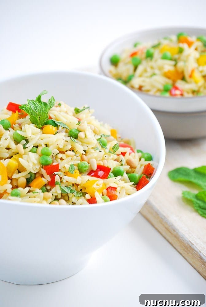 16 Flavorful Orzo Recipes You’ll Want to Cook Tonight 5 Roastedvegetableorzosalad-4