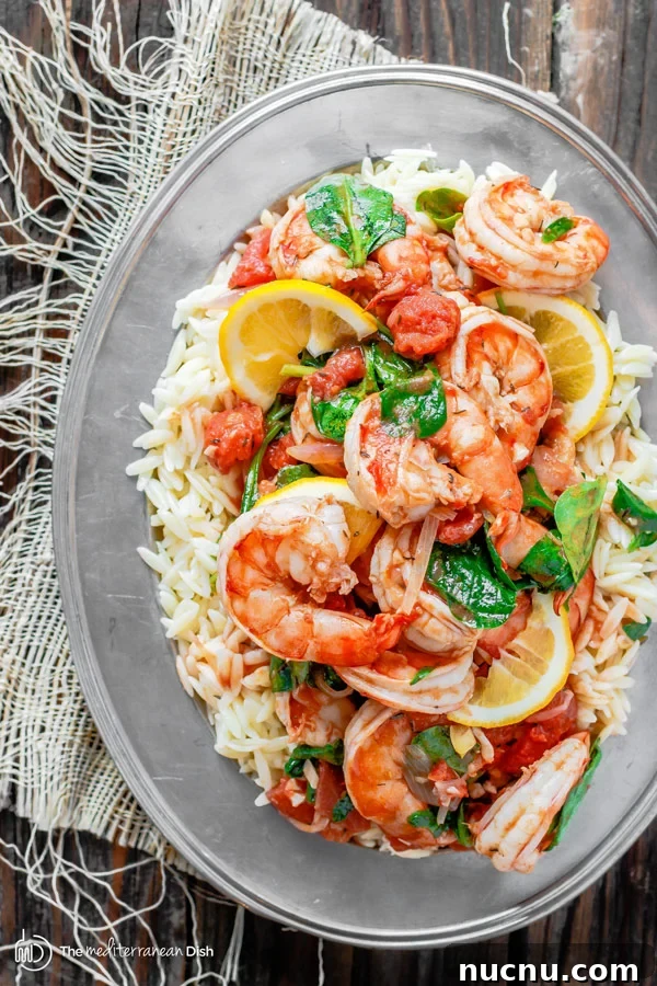 16 Flavorful Orzo Recipes You’ll Want to Cook Tonight 6 Garlic-Tomato-Shrimp-Orzo-Pasta-5