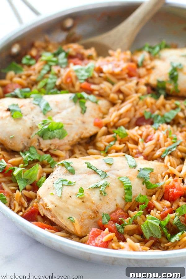 16 Flavorful Orzo Recipes You’ll Want to Cook Tonight 7 One-Pot-Italian-Chicken-and-Orzo
