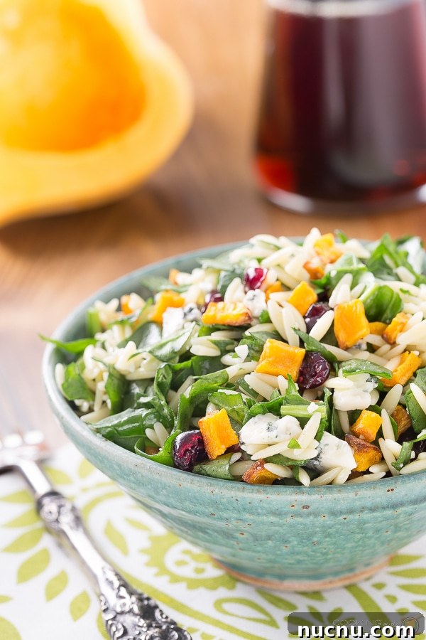16 Flavorful Orzo Recipes You’ll Want to Cook Tonight 10 Fall Orzo Salad with Butternut Squash