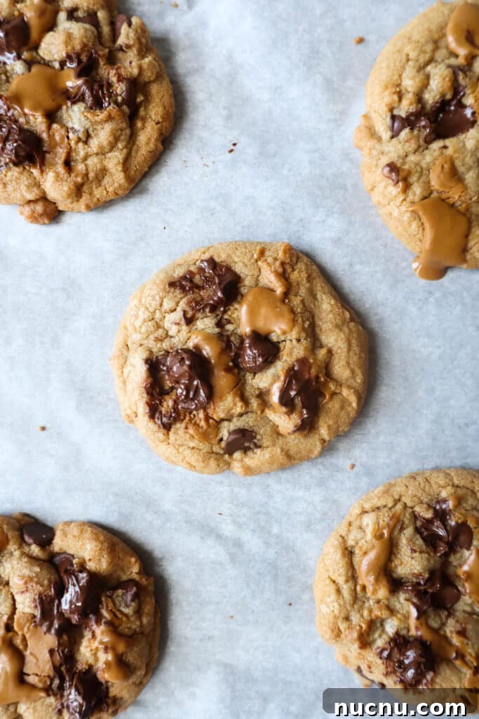25 Unique Cookie Recipes You’ll Want to Bake Now 25 biscoff and chocolate chip cookies.