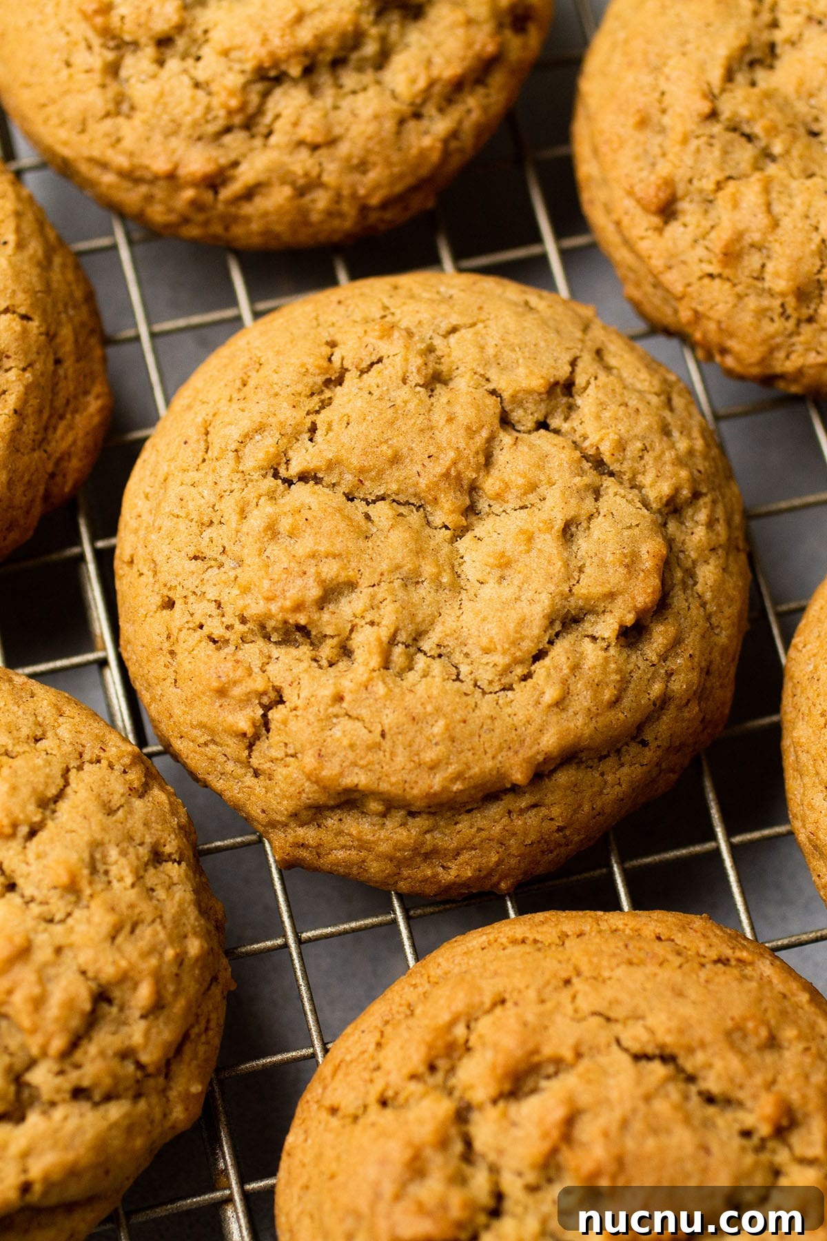 25 Unique Cookie Recipes You’ll Want to Bake Now 7 cinnamon brown sugar cookies.