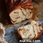 Cinnamon Babka Recipe