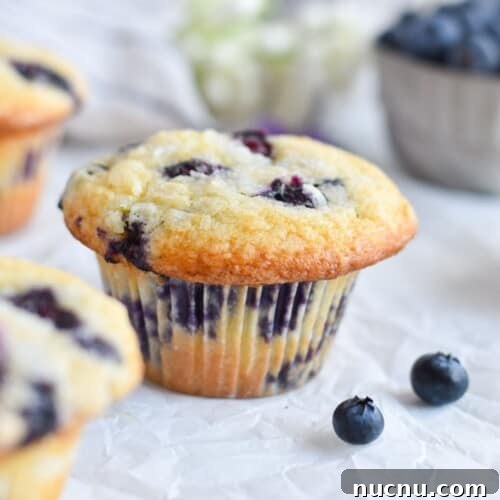 muffin on white parchment paper surrounded by fresh blueberries.