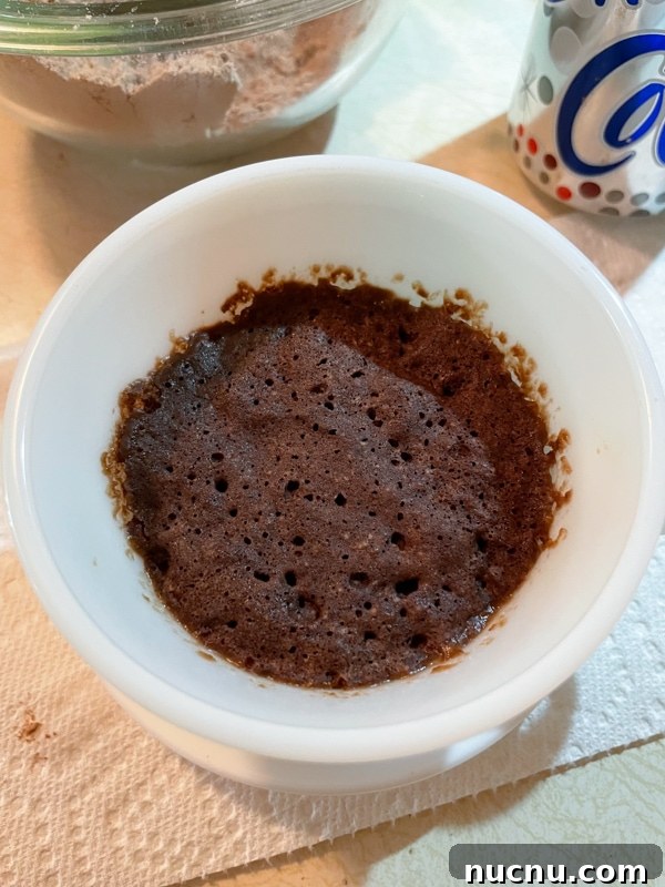 Quick Chocolate Mug Cake from Cake Mix in Minutes 8 Topped mug cake