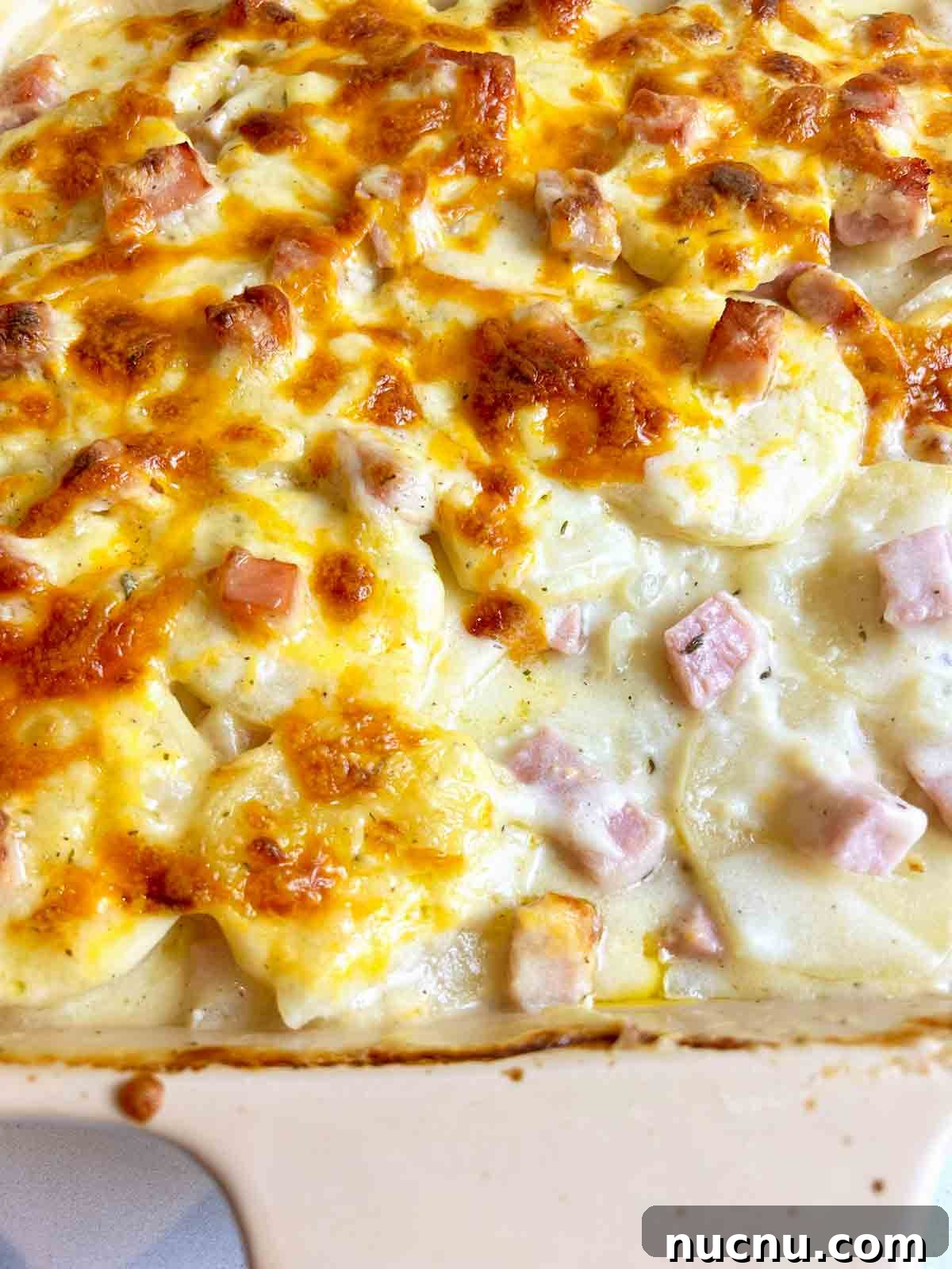 Creamy Scalloped Potatoes with Ham Casserole Recipe 2 close up of scalloped potatoes showing inside.
