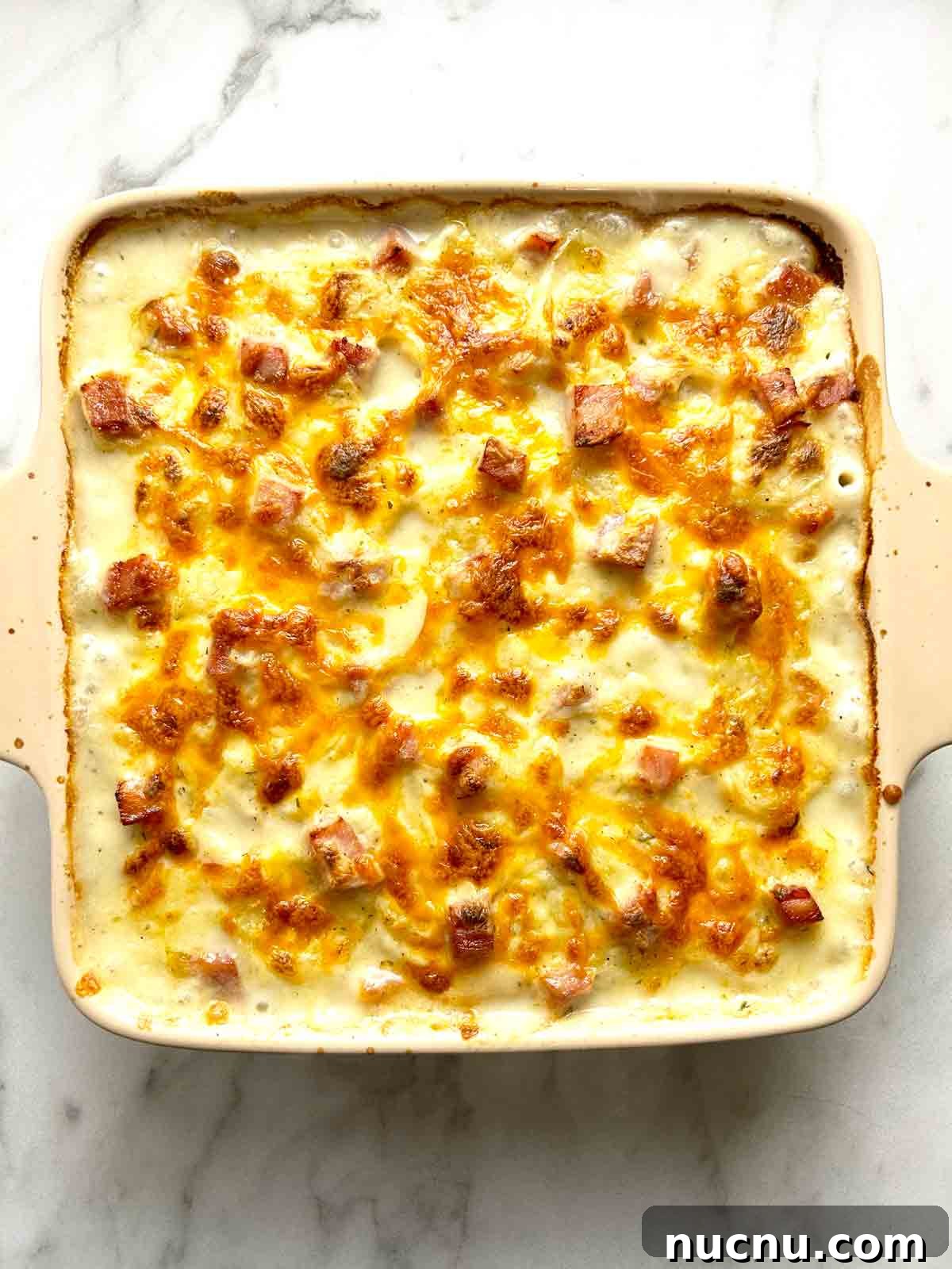Creamy Scalloped Potatoes with Ham Casserole Recipe 8 overhead shot of scalloped potatoes and ham after baking; cheese is golden brown.
