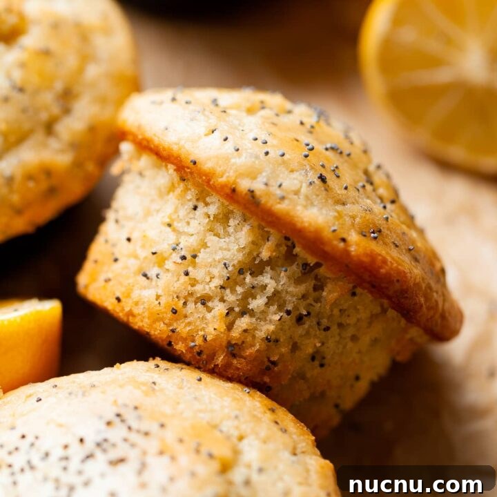 gluten free lemon poppy seed muffins