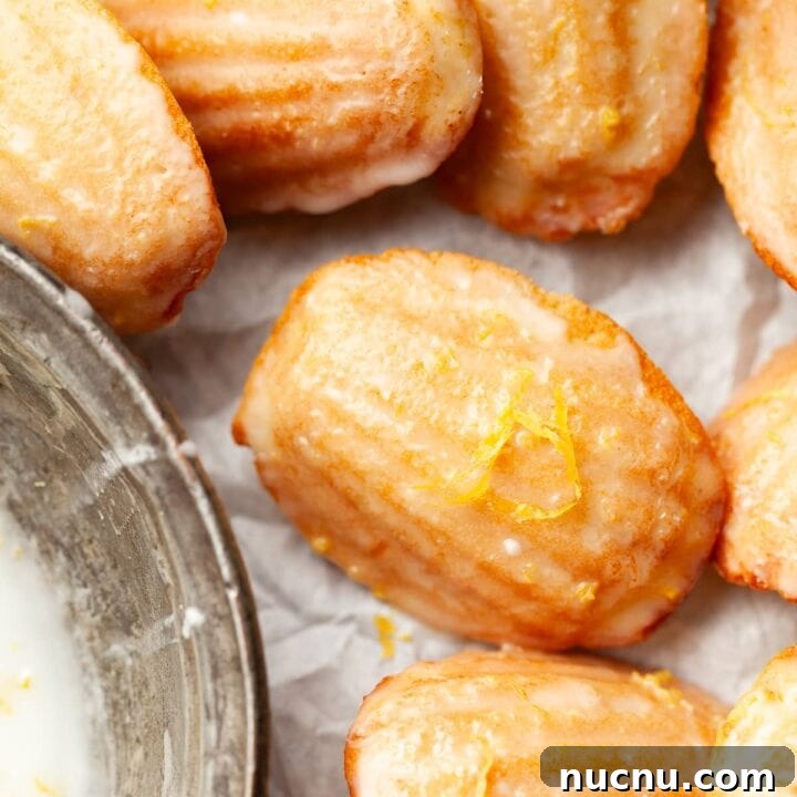 Image for Gluten Free Lemon Madeleines