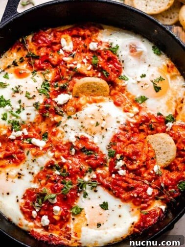 overhead shot of ajvar mixed with eggs and served with bruschettini toasts