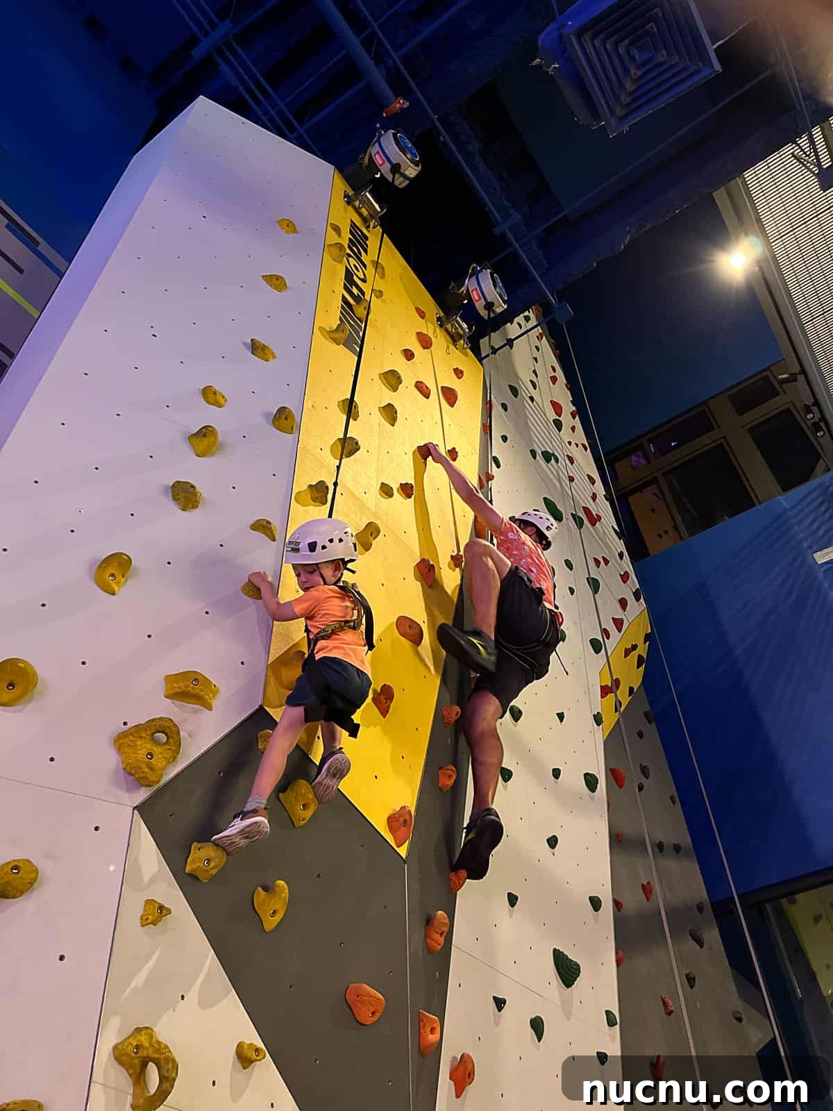 Toro Verde Urban Park San Juan: Adventure Ziplining & Outdoor Fun 3 Indoor Rock Climbing Family Activity at TORO VERDE Urban Park in San Juan