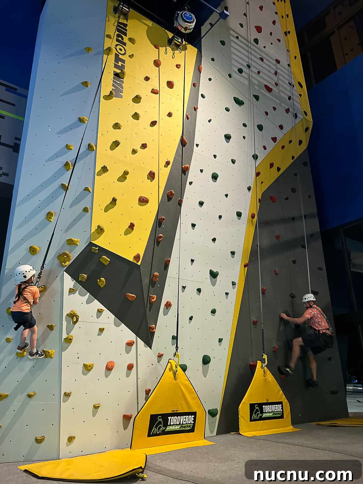 Toro Verde Urban Park San Juan: Adventure Ziplining & Outdoor Fun 9 Rock Wall Climbing Gym inside TORO VERDE Urban Park in San Juan