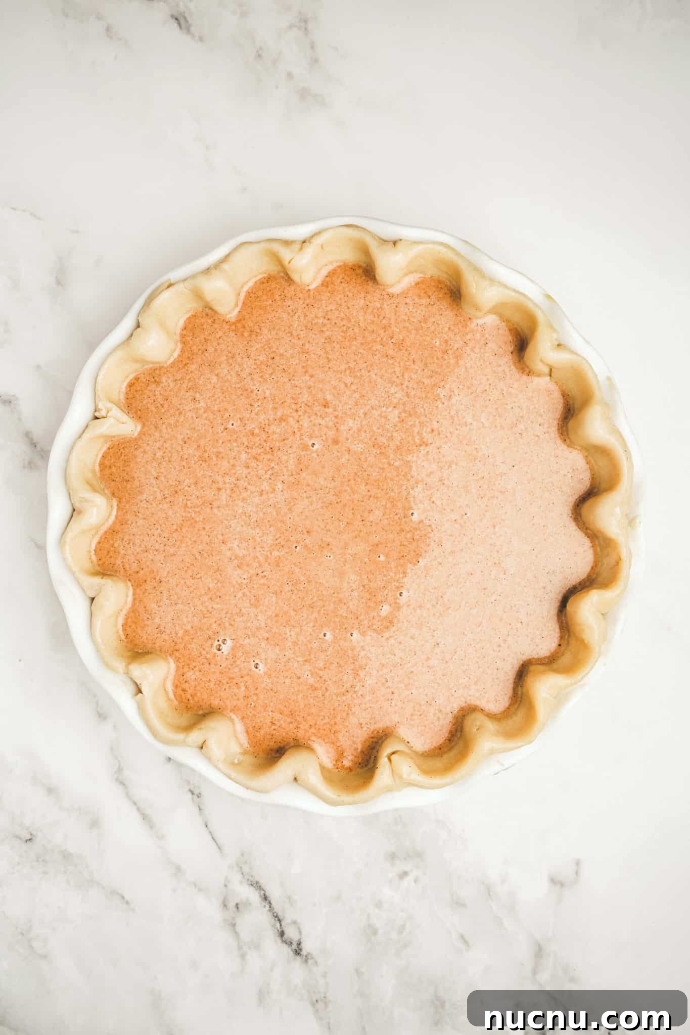 American-Style Pumpkin Pie Recipe for Thanksgiving 10 Moule à tarte avec de la pâte et de la pâte à gâteau à la citrouille