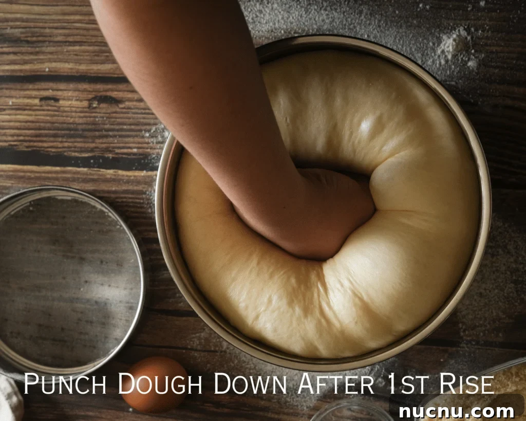 Homemade Bread Recipe: Step-by-Step Video Guide for Beginners 5 punch dough down after 1st rise