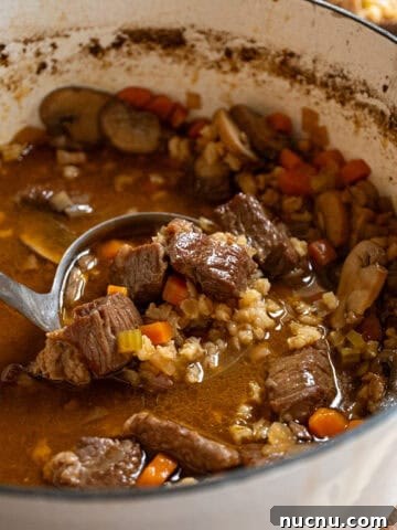 Beef and barley soup in a pot.