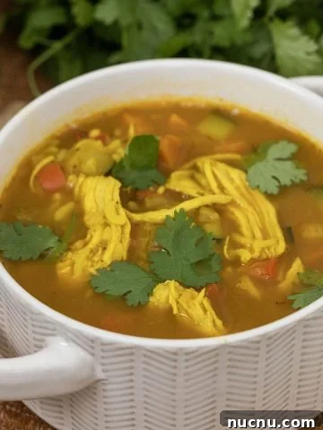 curry chicken and rice soup with a side of cilantro