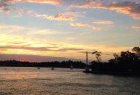 Explore Sydney by Ferry: Iconic Sights, Routes & Tips