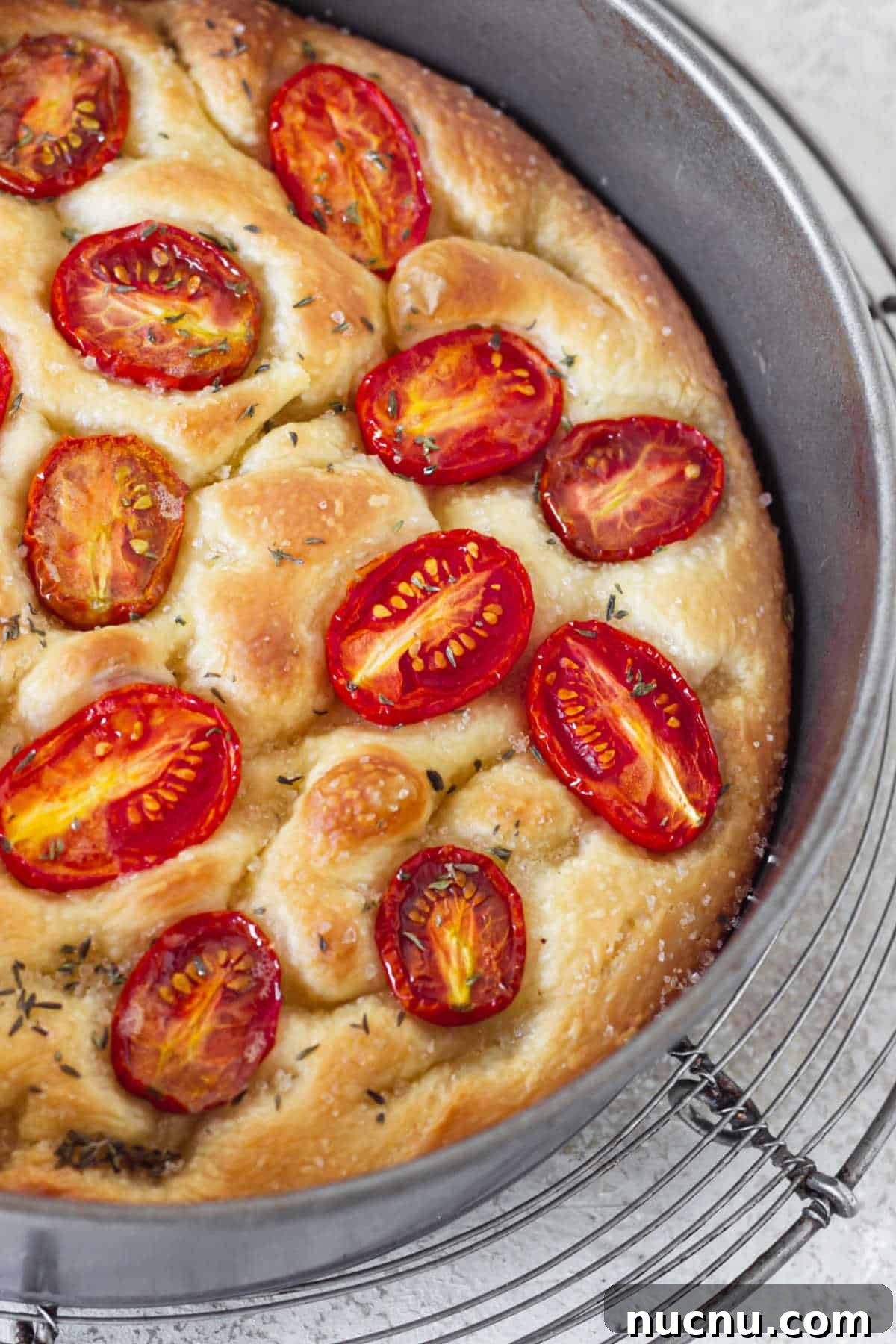 Tomato Focaccia Recipe with Step-by-Step Video Tutorial 3 Partial view of baked tomato focaccia in metal pan on wire rack