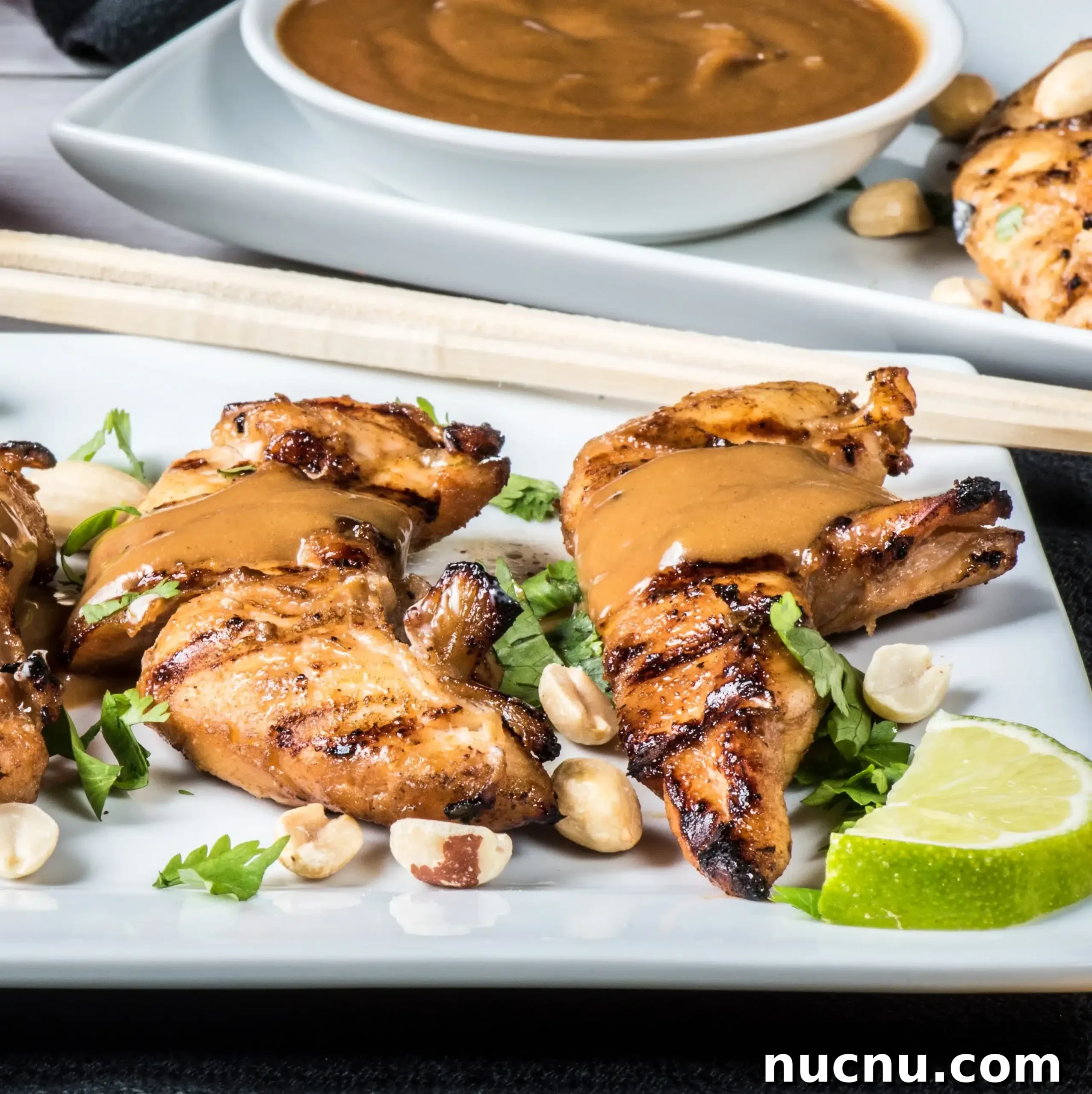 Chicken Satay with Peanut Sauce Recipe — Grilled Skewers & Dipping Sauce 6 Served chicken satay