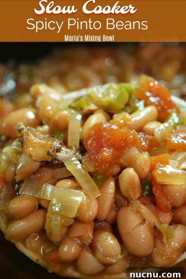 Slow Cooker Spicy Pinto Beans Recipe — Tender, Flavorful & Simple 7 spoonful of pinto beans that have been slow cooked all day in the slow cooker