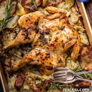 Spatchcock chicken and potatoes on baking sheet with fork and spoon.