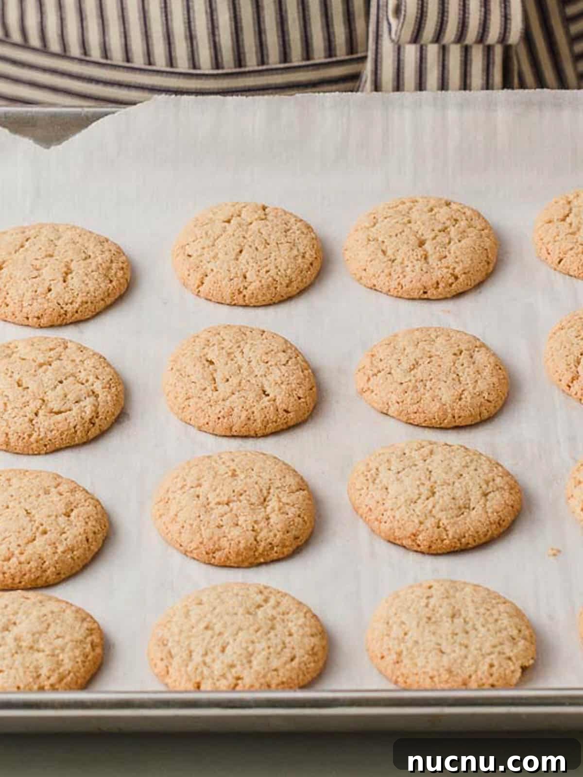 Gluten-Free Nilla Wafers Recipe: Crisp Vanilla Sandwich Cookies 3 Gluten free nilla wafers closeup.