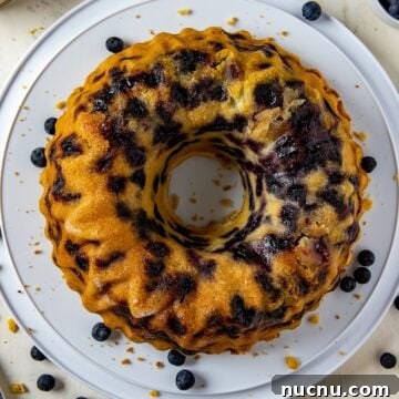 overhead view of baked cake. Cake on white cake holder with fresh blueberries scattered around.
