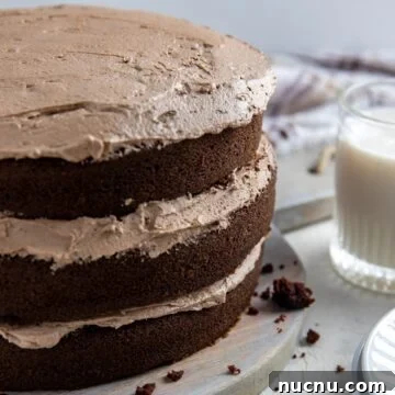Three chocolate cake layers with frosting in between and on top of the cake.