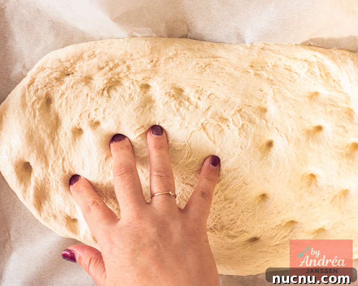 Crispy-Edged Tomato Focaccia with Parmesan and Olive Oil 5 After rising, place the dough on a baking sheet in a rectangular shape. Prick holes in it with a finger.