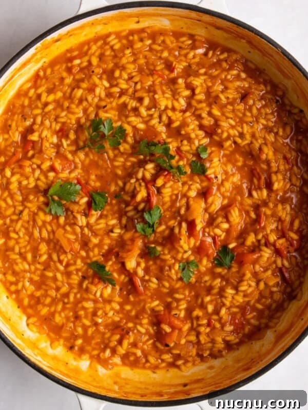 Creamy Chicken and Mushroom Risotto Recipe for Weeknight Dinner 13 overhead shot of tomato risotto in large shallow frying pan on white surface.