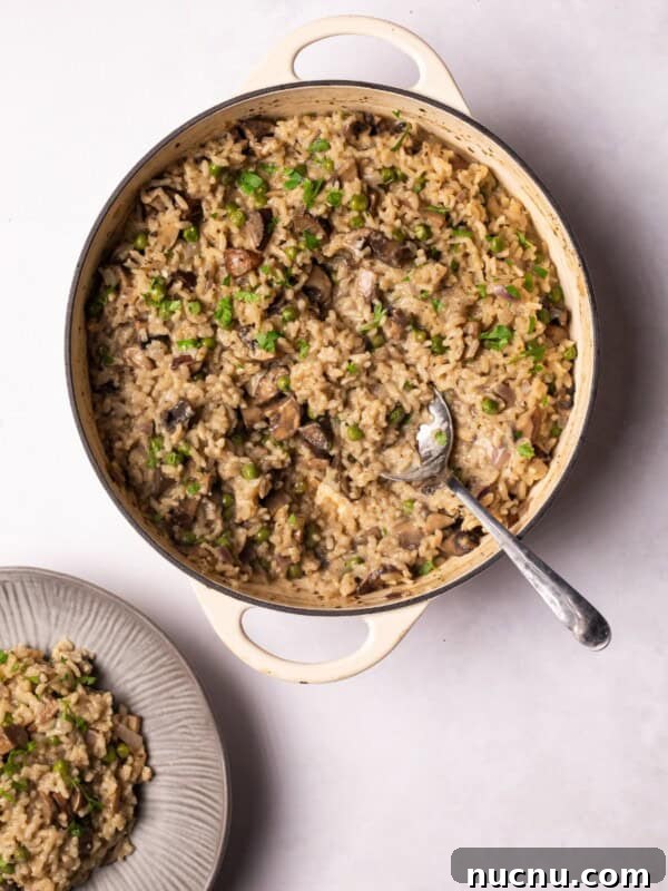 Creamy Chicken and Mushroom Risotto Recipe for Weeknight Dinner 15 Vegan Mushroom Risotto served on a plate and in a serving dish.
