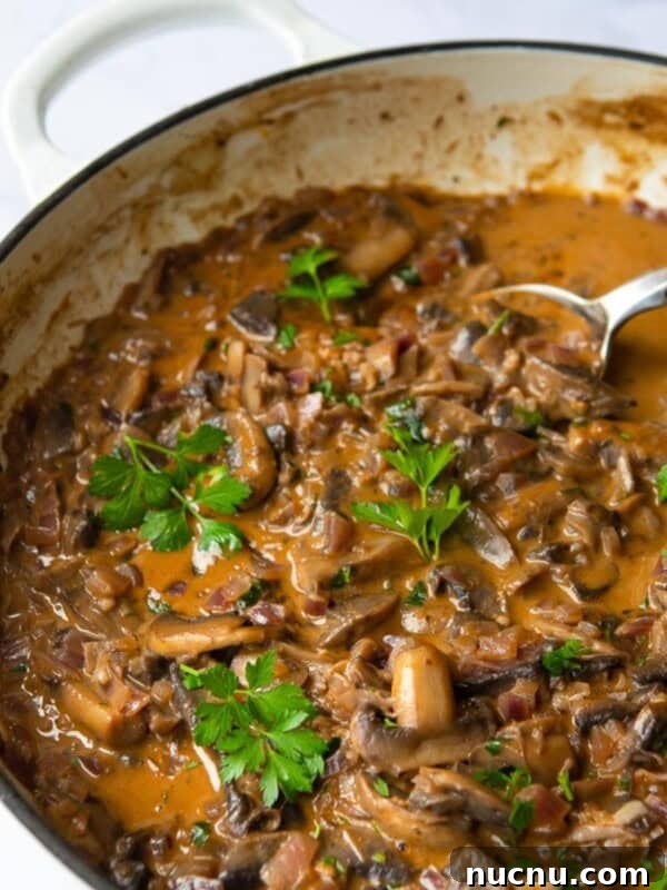 Creamy Chicken and Mushroom Risotto Recipe for Weeknight Dinner 16 Vegan Mushroom Stroganoff served in a large non-stick frying pan with silver spoon.