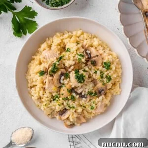 Creamy Chicken and Mushroom Risotto Recipe for Weeknight Dinner 17 Chicken and Mushroom Risotto served on a plate.