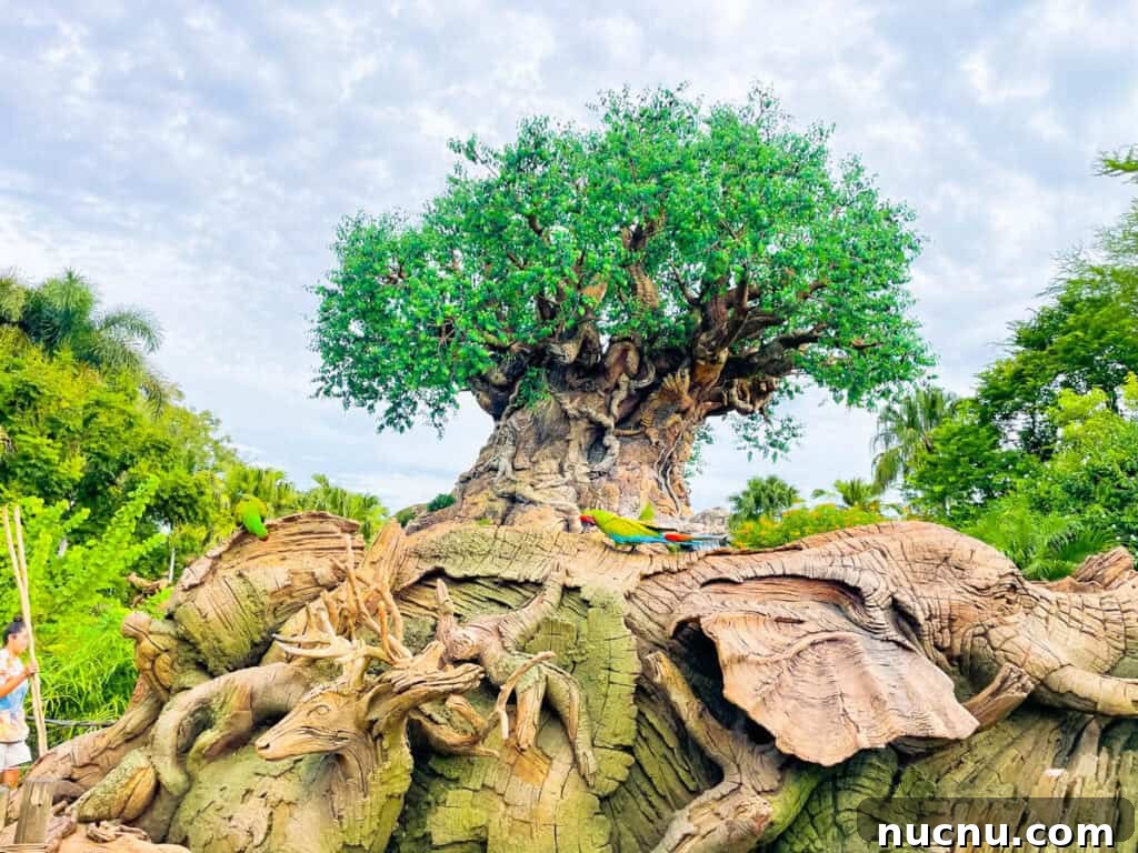 Animal Kingdom Tree of Life.