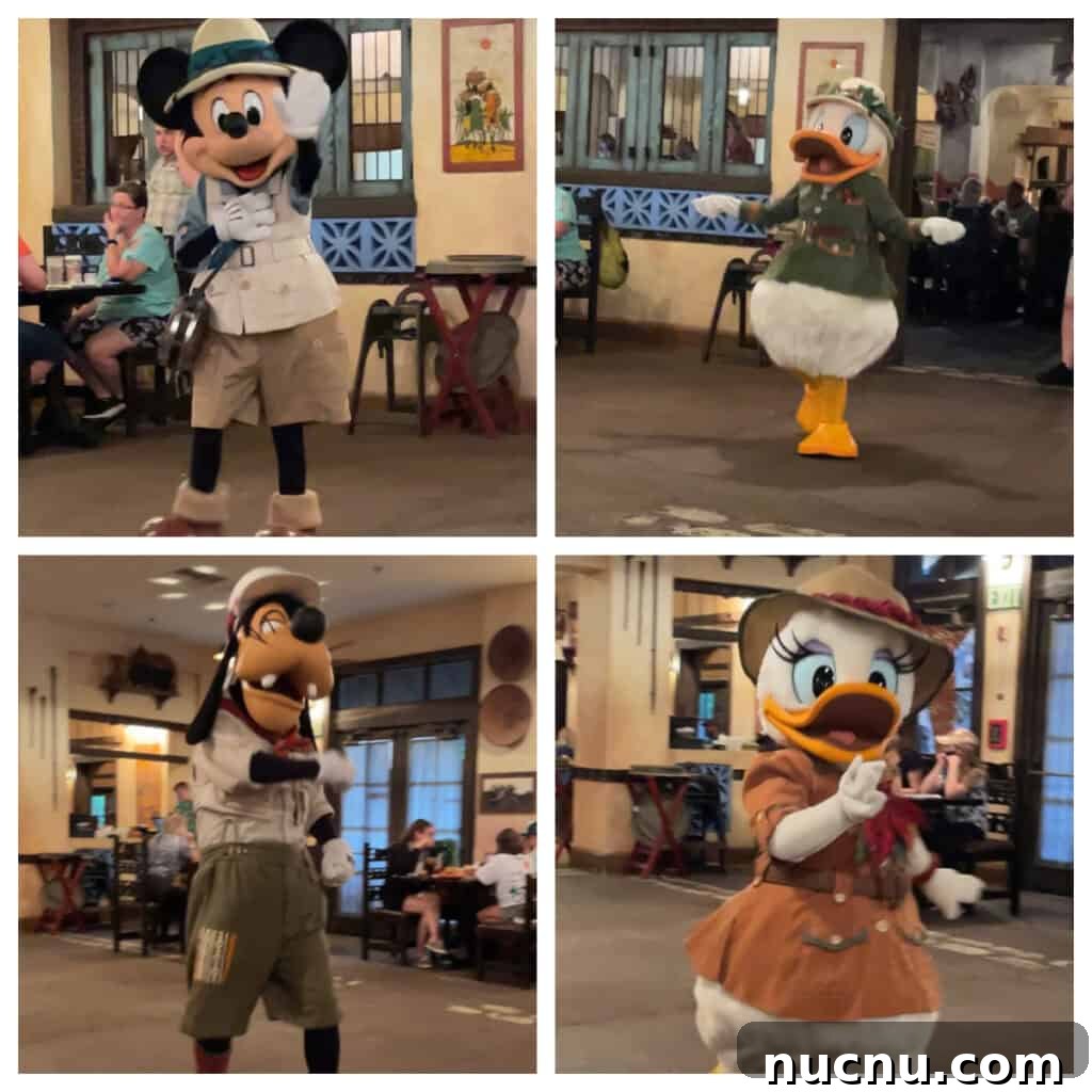 Tusker House character dining collage.