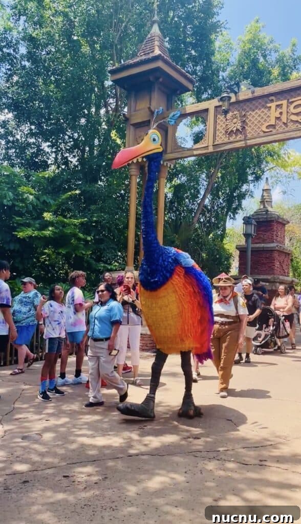 Kevin from Up roaming Discovery Island.