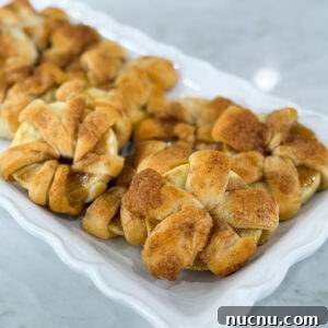 Golden baked apple crescent donuts dusted with powdered sugar