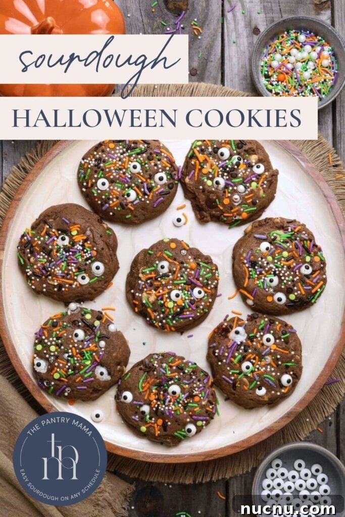 Sourdough Halloween Cookies Pinterest Pin.