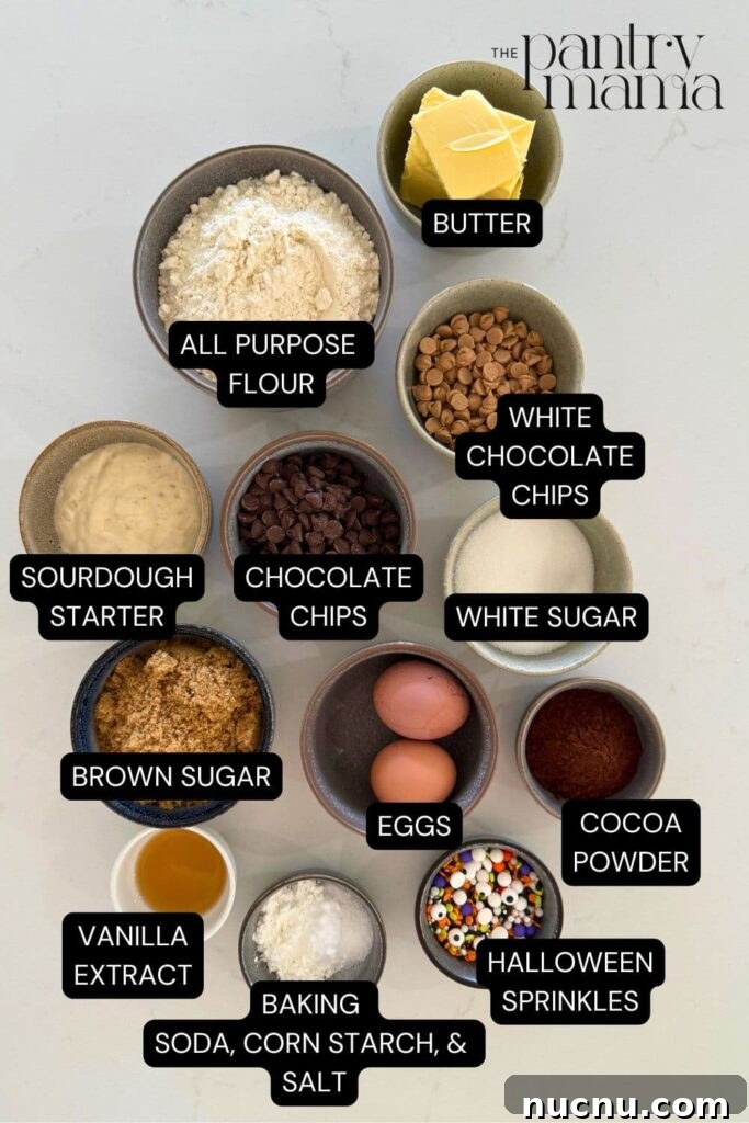 Sourdough Halloween cookies labeled ingredients on counter. 