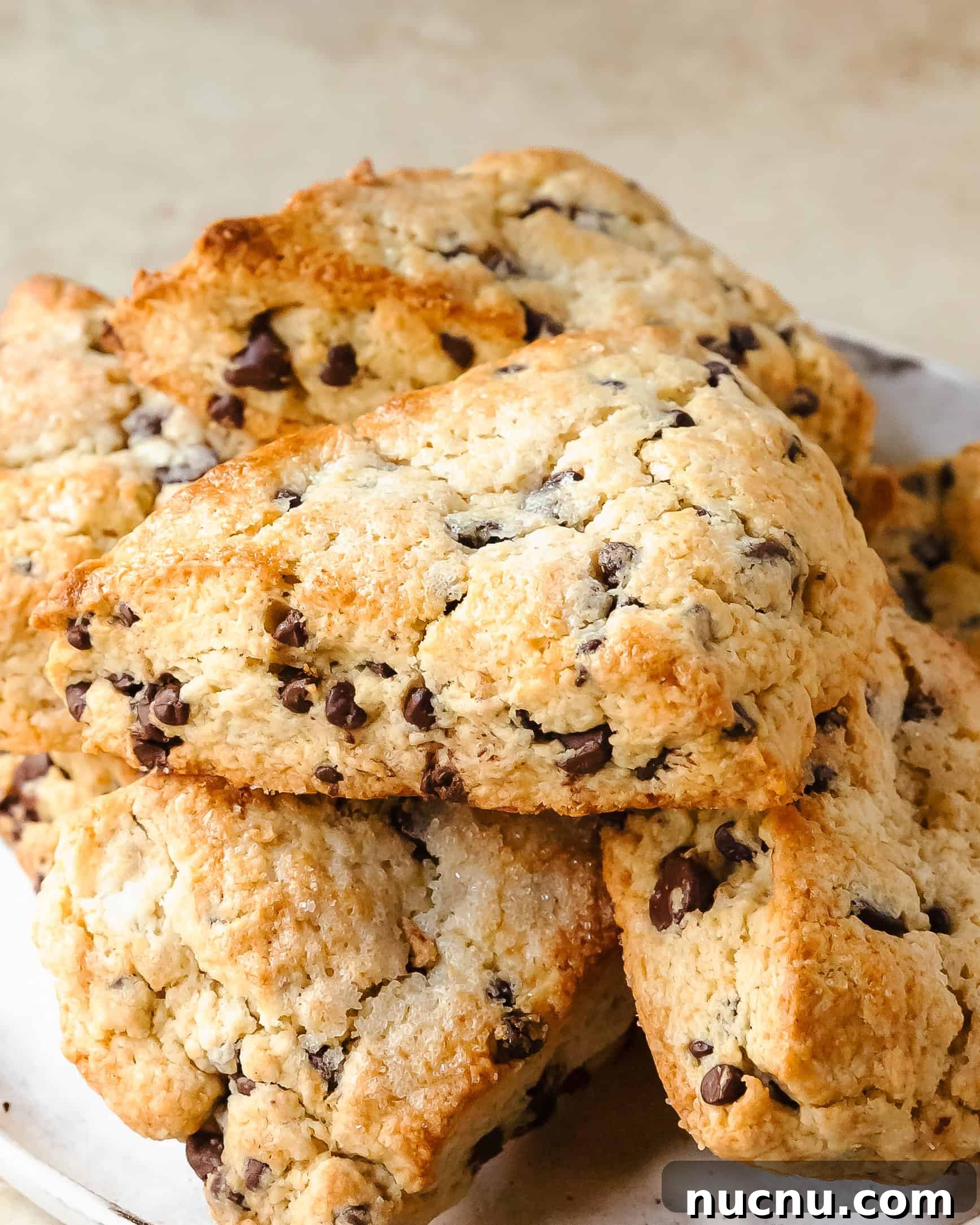 Crispy Chocolate Chip Scones Recipe for Perfect Morning Pastries 2 Chocolate chip scones are warm, buttery, soft and tender bakery style scones filled with melty chocolate chips. They're the best, easy to make treat.