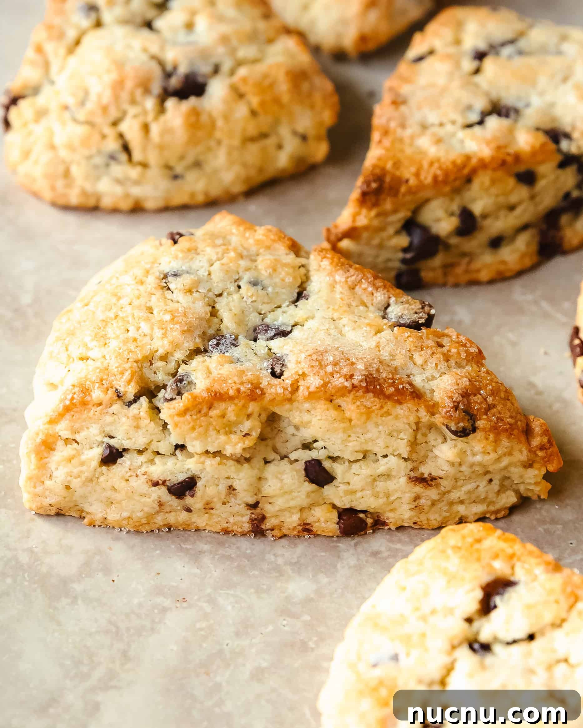 Crispy Chocolate Chip Scones Recipe for Perfect Morning Pastries 8 img 36469 7