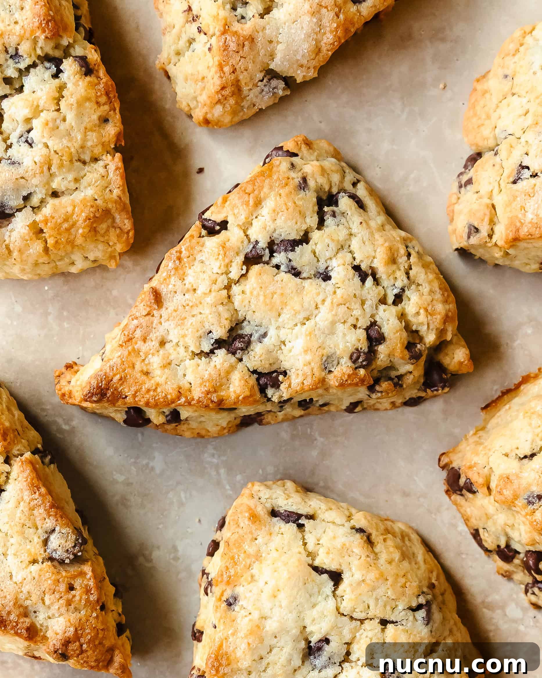 Crispy Chocolate Chip Scones Recipe for Perfect Morning Pastries 9 img 36469 8