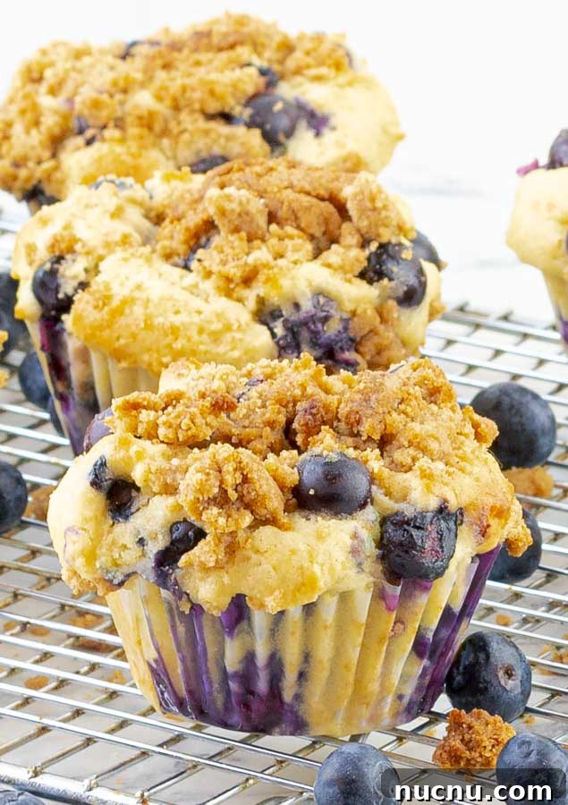 Blueberry Sour Cream Muffins with Crunchy Streusel Topping 2 three blueberry sour cream muffins on a wire rack