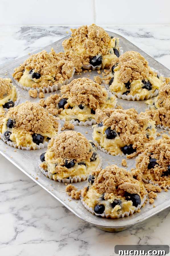 Blueberry Sour Cream Muffins with Crunchy Streusel Topping 6 blueberry sour cream muffins in a muffin tin ready to be baked