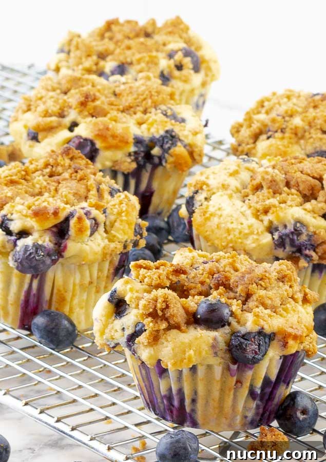 Blueberry Sour Cream Muffins with Crunchy Streusel Topping 7 six blueberry sour cream muffins on a wire rack