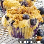 Blueberry Sour Cream Muffins with Crunchy Streusel Topping 8 one blueberry sour cream muffins on a wire rack